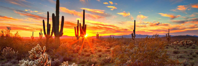 JetBlue flights from Phoenix (PHX) 