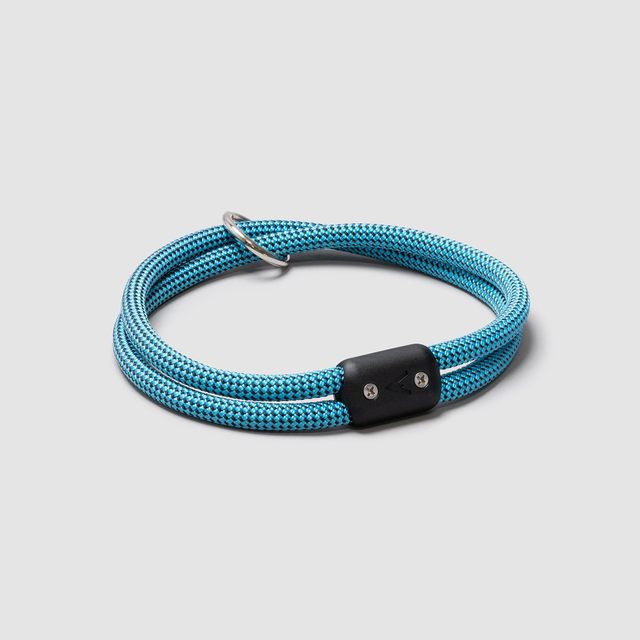 Lifetime Collar - Blemish