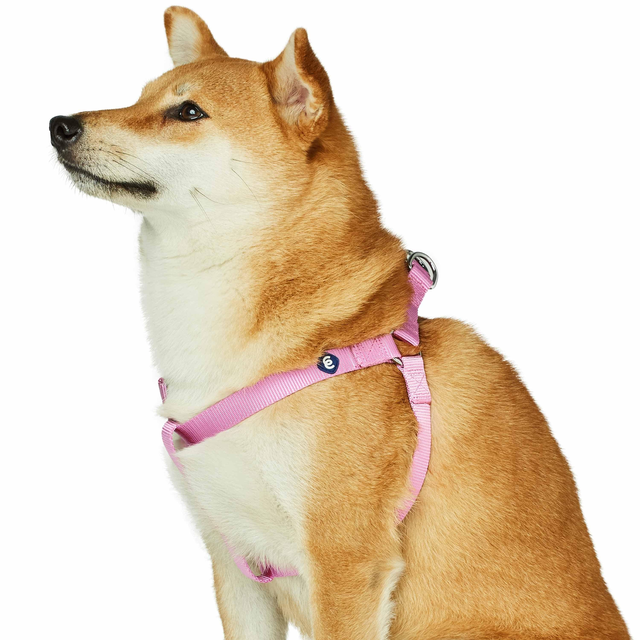 Classic Solid Color Adjustable Dog Harness Pink Red
