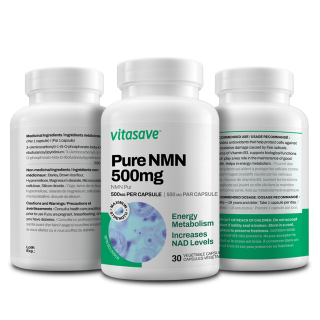 The Anti-Aging Protocol