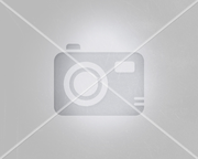 Quit Smoking Kit - 3 Tubes (approx. 80 pellets)