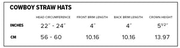 Cowboy Straw Hat | Cheetah