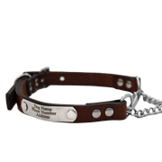Personalized Martingale Dog Collar