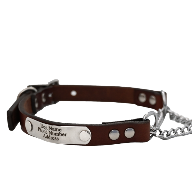 Personalized Martingale Dog Collar