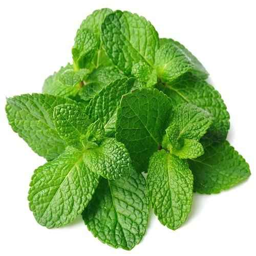 Mint Leaves