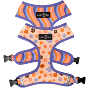 The Let's Groove Reversible Harness