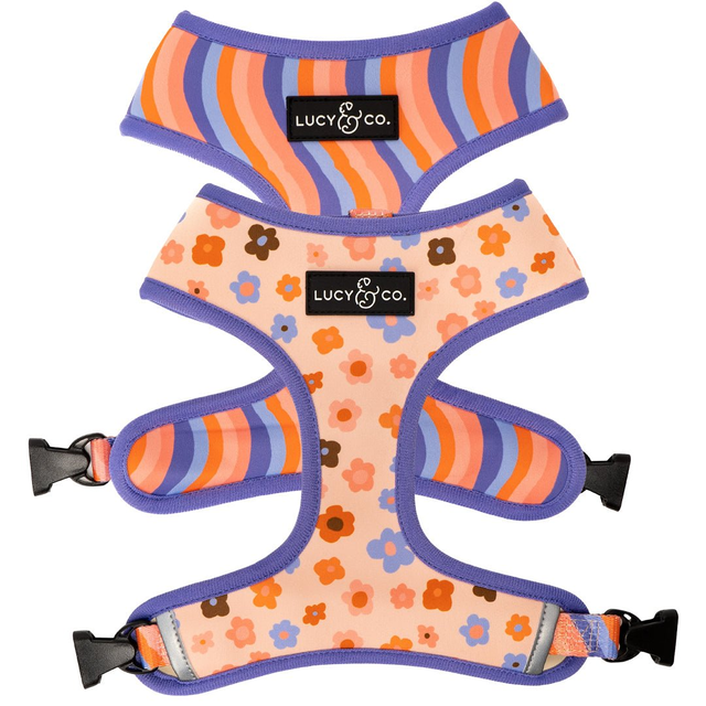 The Let's Groove Reversible Harness