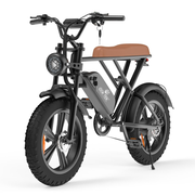 OOK-TEK V9 electric bike, 1000W max power, 48V, 15Ah Removable battery, 55~60 km Range, Retro design, born for off-road, Ships from Germany