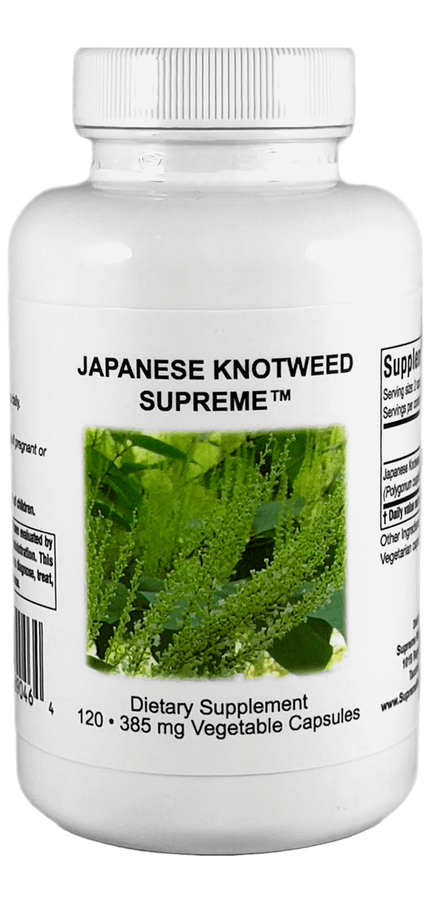 Japanese Knotweed Supreme - 120 Capsules