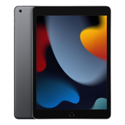 iPad mini (2015, A8 series)