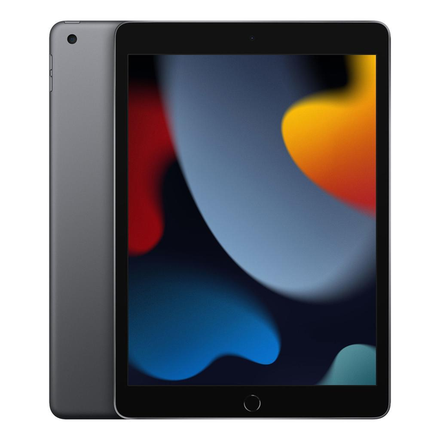iPad mini (2015, A8 series)