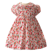 Pink Floral Frill Front Dress & Bloomers