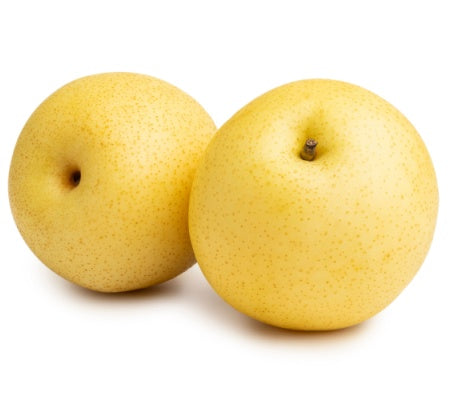 Shinseiki Asian Pear Tree