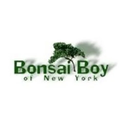 Bonsai Boy of New York logo