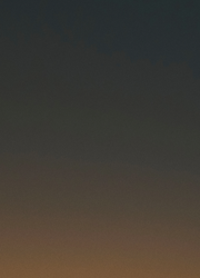 coca cola santa boyfriend tee