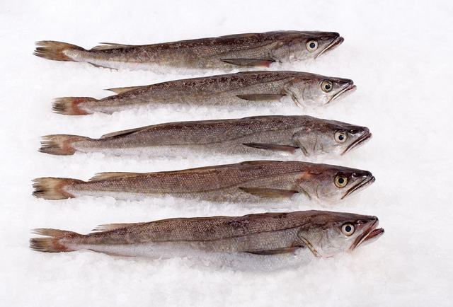 Whiting Whole