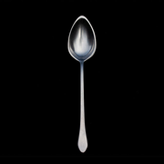 Gestura 1 Tbsp Kitchen Spoon Stainless Steel 9"