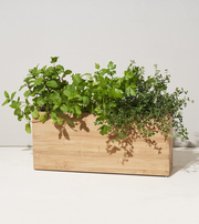 Bamboo Planter Box