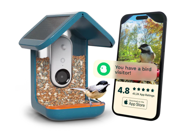 Smart Bird Feeder with Solar Roof