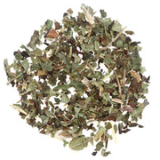 Lemon Balm | Buy Online | Free Shipping Over $49