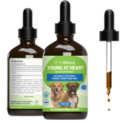 Young at Heart - Holistic Heart Health Care for Dogs