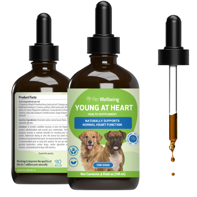 Young at Heart - Holistic Heart Health Care for Dogs