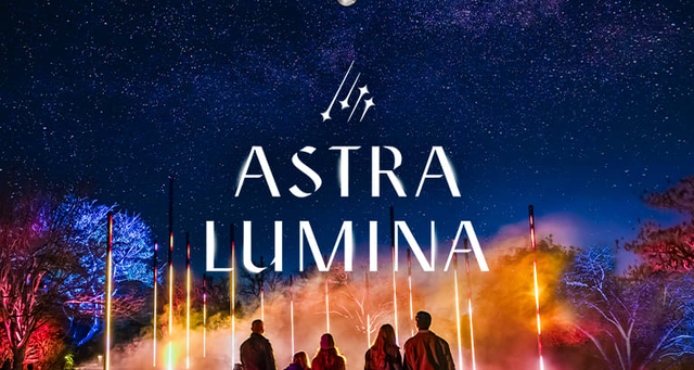 Astra Lumina: An Enchanted Night Walk Amongst the Stars