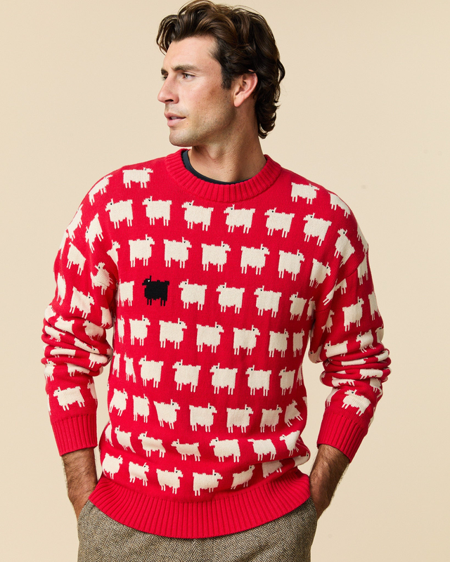 Warm & Wonderful Men's "Diana Edition" Cotton Sheep Sweater