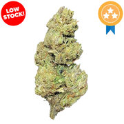 Bubble Gum THCA Flower