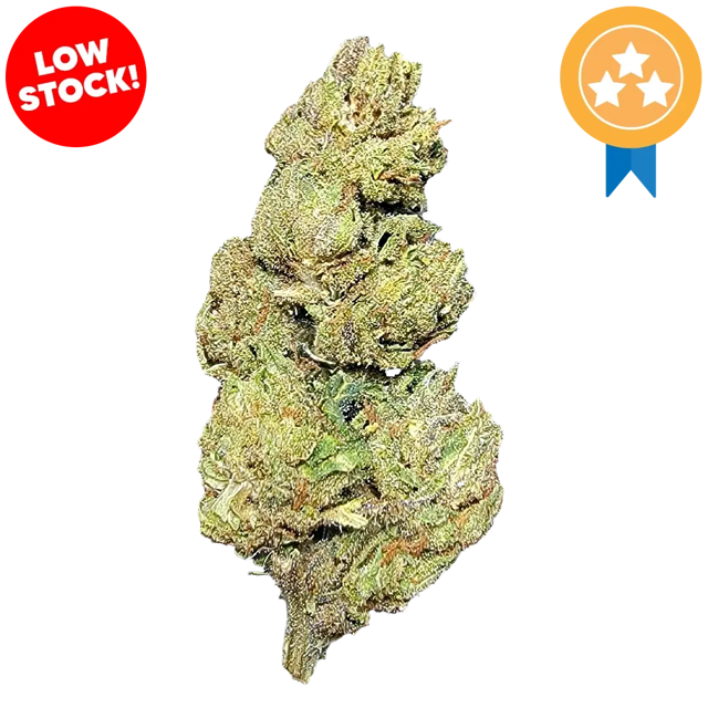 Bubble Gum THCA Flower