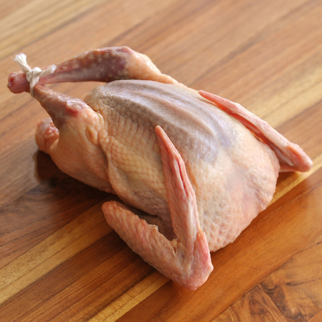Squab, Whole