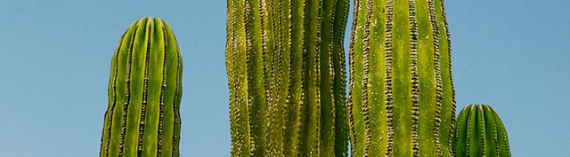 Cheap flights from Seattle to Phoenix