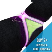 LightHound - LED Illuminated, Reflective Dog Harness - Noxgear