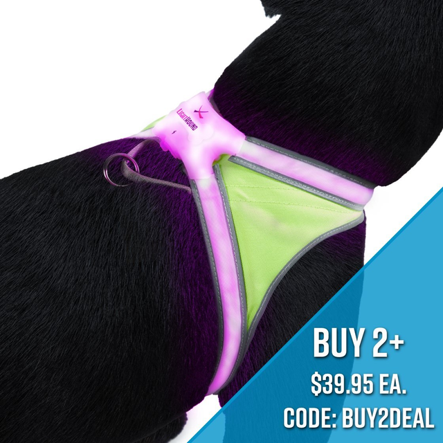 LightHound - LED Illuminated, Reflective Dog Harness - Noxgear