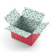 10" x 12" x 8" Decorative Holiday Gift Shipping Box, Christmas Floral, 200# Mullen Rated, 2/Pack (2024050)