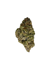 Colombian Gold THCa Flower