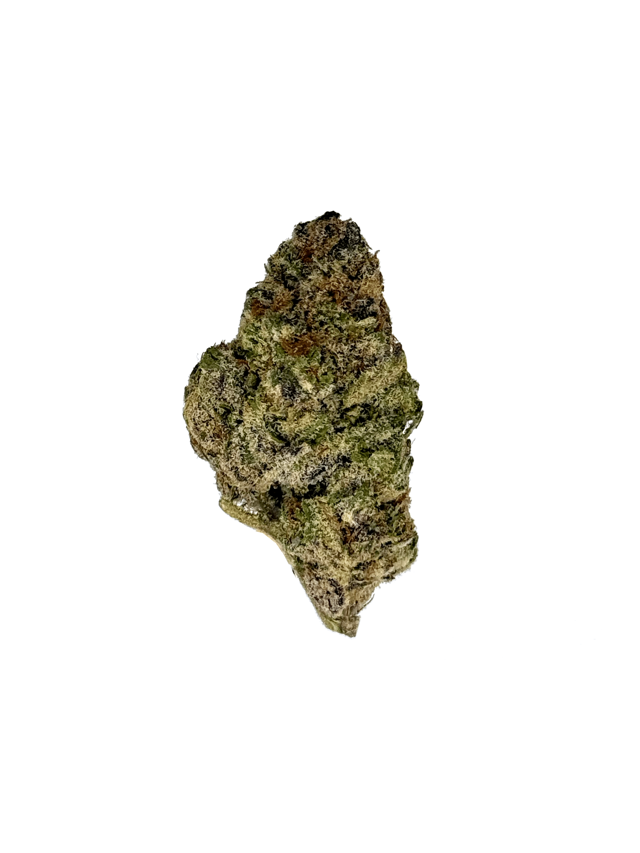 Colombian Gold THCa Flower