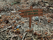 1:12 Scale Wooden Sign I'd Turn back If I Were You