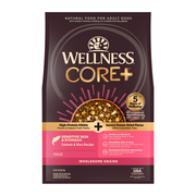 Wellness CORE+ Sensitive Skin & Stomach Adult Dry Dog Food - Salmon & Rice