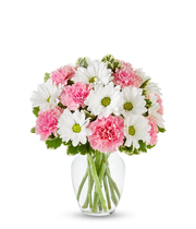 Pastel Daisy & Rose Delight