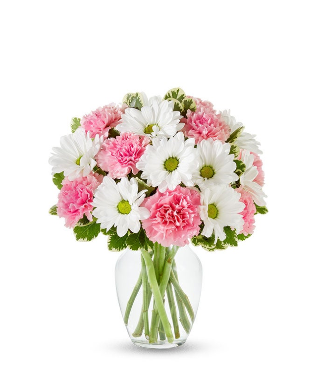 Pastel Daisy & Rose Delight