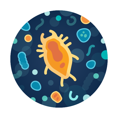 Total Microbiology Water Test