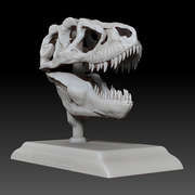 Tarbosaurus Skull 3D Printable Model | 3D Print Model