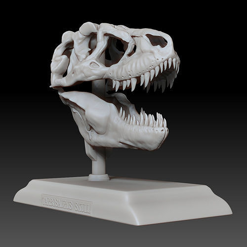 Tarbosaurus Skull 3D Printable Model | 3D Print Model