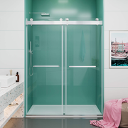 Soft-Closing Double Sliding Frameless Shower Door - DS13