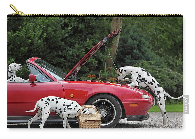 Three Dalmatians Around Red Sports Car Zip Pouch