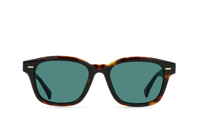 Carby-Kola Tortoise / Pacifica-53