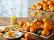 Citrus Supply Club: All Oranges