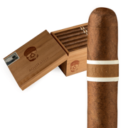 Anthropology  / 5.75 x 46