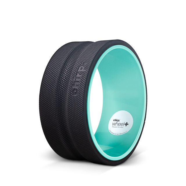 Chirp Wheel+ 10" Firm